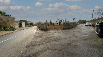 Terreno em São romão de neiva de 7 500 m²