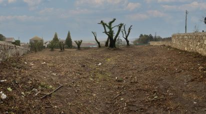 Terreno em São romão de neiva de 7 500 m²