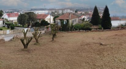 Terreno em São romão de neiva de 7 500 m²