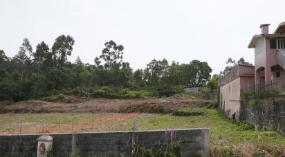 Terrain à Silvalde de 1 927 m²