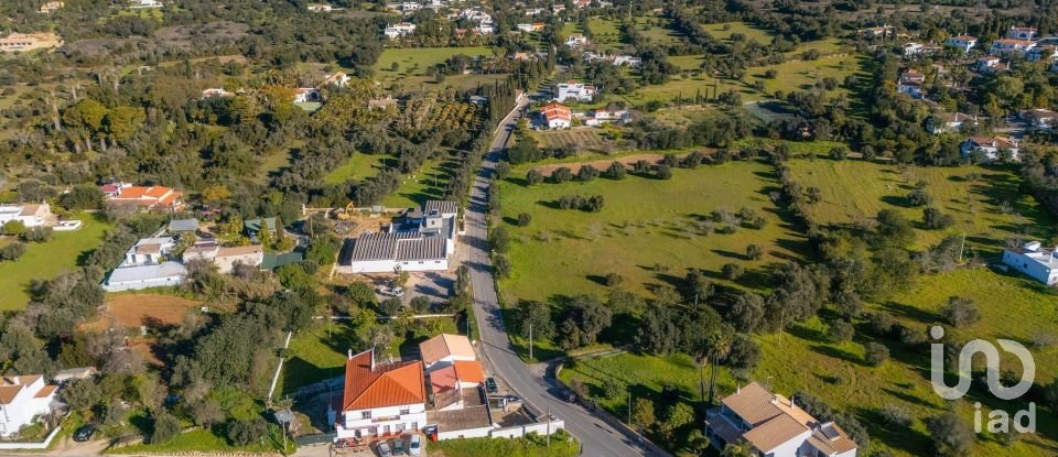 Maison traditionnelle T3 à Santa Bárbara de Nexe de 79 m²