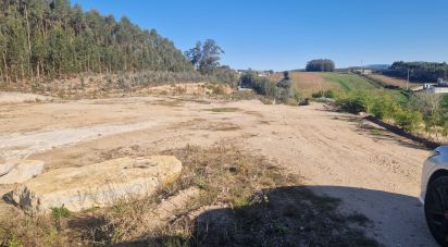 Terreno em Moita dos Ferreiros de 20 160 m²