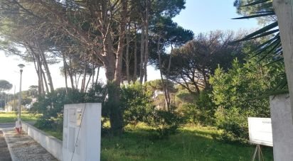 Terreno em Sesimbra (Castelo) de 363 m²