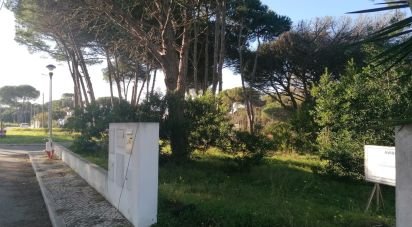 Terreno em Sesimbra (Castelo) de 363 m²