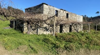 Casa / Villa T0 em Santa Marinha do Zêzere de 195 m²