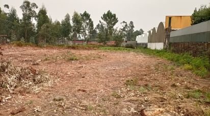 Terreno Agrícola em Mazarefes E Vila Fria de 6 532 m²