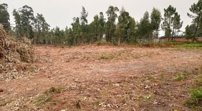 Terreno Agrícola em Mazarefes E Vila Fria de 6 532 m²