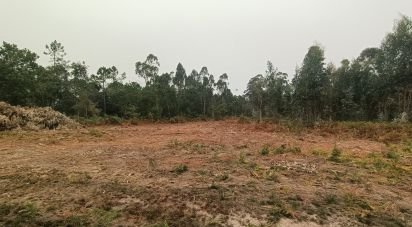 Terreno Agrícola em Mazarefes E Vila Fria de 6 532 m²