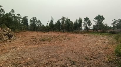 Terreno Agrícola em Mazarefes E Vila Fria de 6 532 m²