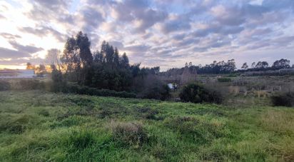 Terreno em Ovar, São João, Arada e São Vicente de Pereira Jusã de 1 405 m²