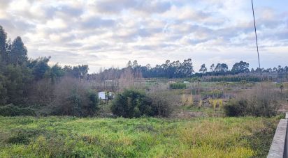 Terreno em Ovar, São João, Arada e São Vicente de Pereira Jusã de 1 405 m²