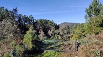 Terreno em Cernache do Bonjardim, Nesperal e Palhais de 3 900 m²