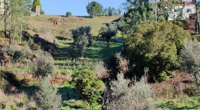 Terreno em Cernache do Bonjardim, Nesperal e Palhais de 3 900 m²