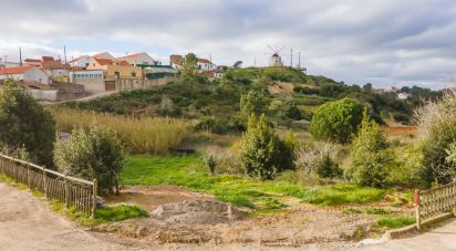 Terreno em Reguengo Grande de 6 240 m²