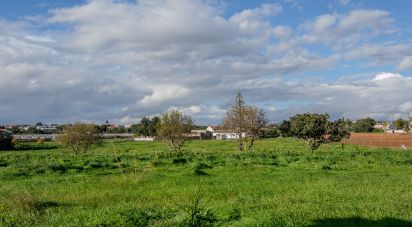 Terrain à bâtir à Pechão de 14 080 m²