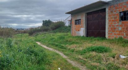 Parking in Santarém (Marvila), Santa Iria Da Ribeira De Santarém, Santarém (São Salvador) E Santarém (São Nicolau) of 300 m²