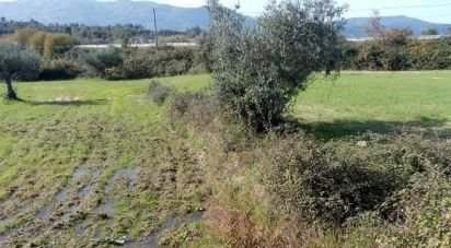 Terreno em Peraboa de 130 000 m²