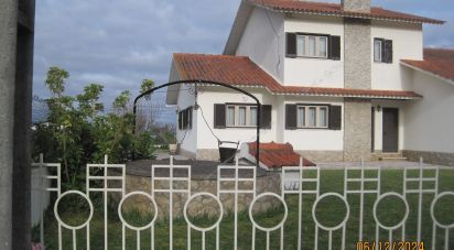 House T4 in Juncal of 286 m²